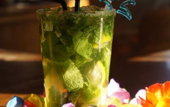 WarpZone Rennes #6 WarpZone Rennes #6