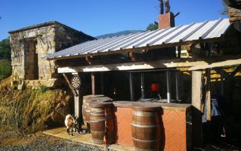 Domaine Passiflorart #3