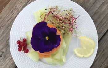 Village Nature et Insolite Les Rives de Grand Lieu #13