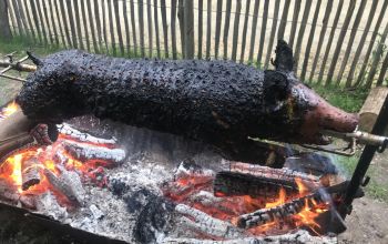 Village Nature et Insolite Les Rives de Grand Lieu #15