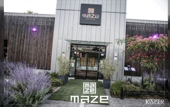 The Maze #9 The Maze #9
