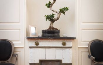 Domaine de Chapeau #3 Domaine de Chapeau #3