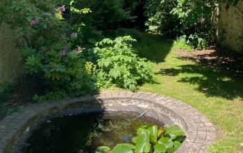 Local Club #7 Local Club #7