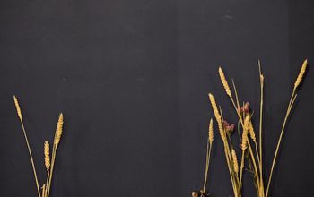 The Sister Brussels Café #6 The Sister Brussels Café #6