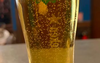 Brasserie le Flore #10 Brasserie le Flore #10