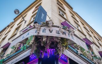 La Rêverie  #1