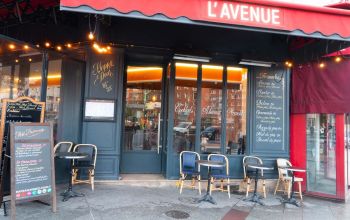 L'Avenue #8 L'Avenue #8