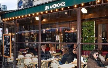 Les Anémones #9 Les Anémones #9
