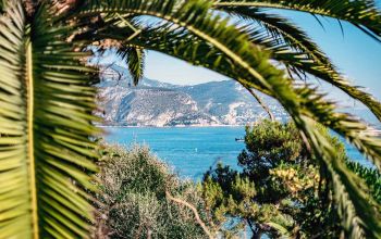 Pain&Cie #2 Pain&Cie #2