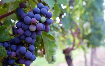 L'appart 18 #2 L'appart 18 #2