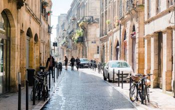 Bambous Verts #2 Bambous Verts #2