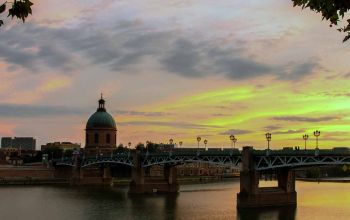 Vivants toulouse #2 Vivants toulouse #2