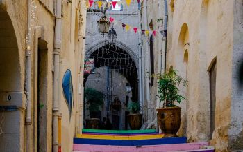 La Cigale | Bar & Restaurant | Montpellier #4