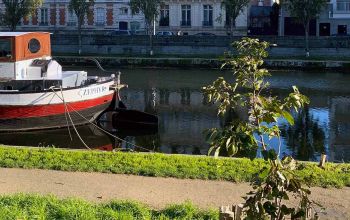 Bowl To Go #2 Bowl To Go #2