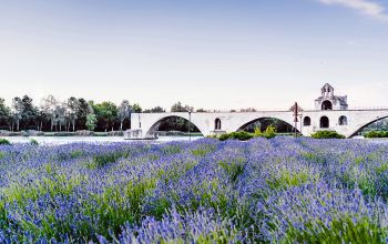 Flaveurs Restaurant Avignon #2 Flaveurs Restaurant Avignon #2