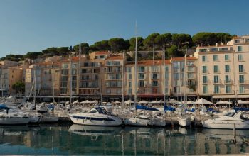 Le Panoramic Tigre #4 Le Panoramic Tigre #4