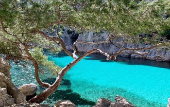 LA CANTINE DE MAMIE CATERING #4