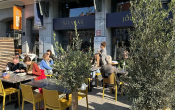 Siendas Jourdan #9 Siendas Jourdan #9