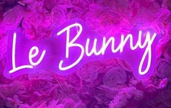 Le Bunny #2 Le Bunny #2