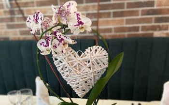 Maison Oggi Bistrot des Chefs #5