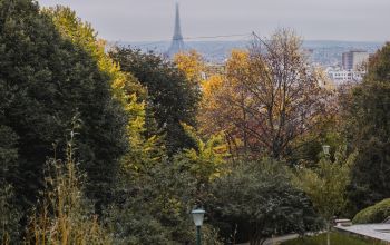 Moncoeur Belleville  #15 Moncoeur Belleville  #15