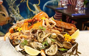 Les 3 P'tits Pichons #14 Les 3 P'tits Pichons #14