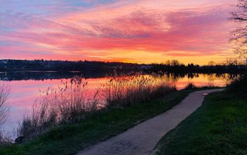 La Criée Grigny #19