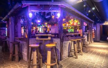 Les Berthom Metz #11