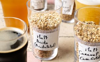 Luppolo Bar #13 Luppolo Bar #13