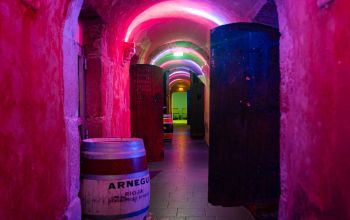 Les Caves du Roi Soleil #12