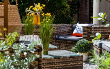 Albert's Place Lille  #8