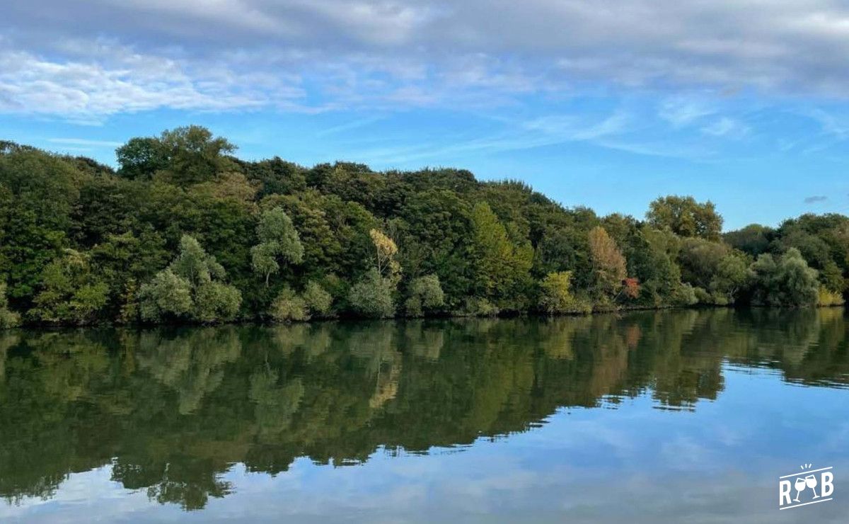 Ile du Roi #13 Ile du Roi #13