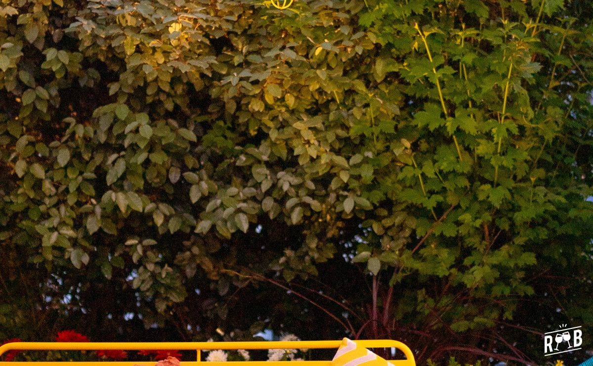 Jo&Joe Paris Nation #16