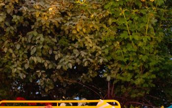 Jo&Joe Paris Nation #16 Jo&Joe Paris Nation #16