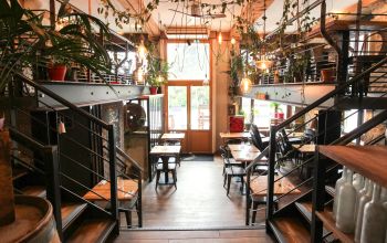 Les Souris Dansent Lyon #1