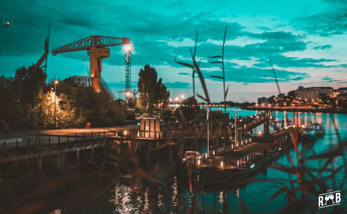 Levrette Café Nantes #8