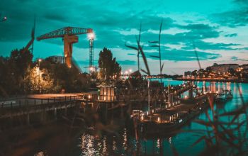 Levrette Café Nantes #8