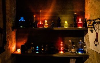 Potions & Co. #5 Potions & Co. #5
