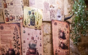 Potions & Co. #12 Potions & Co. #12