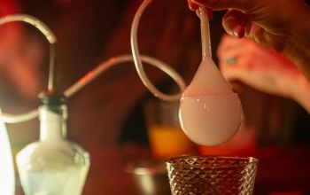 Potions & Co. #17 Potions & Co. #17