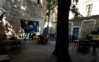 Levrette Café Nimes #2