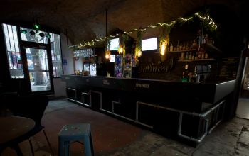 Levrette Café Nimes #3