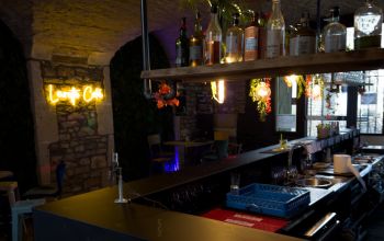 Levrette Café Nimes #7