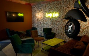 Levrette Café Nimes #8